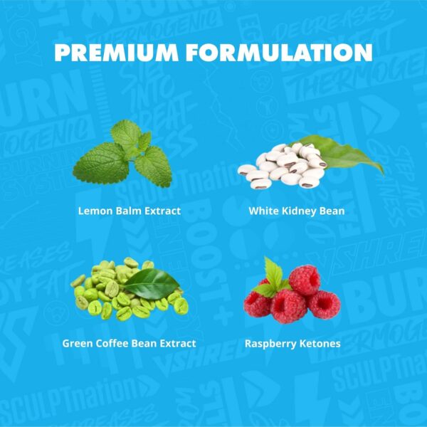 Sculpt Nation by V Shred - Daytime Metabolism Support with Chromium, Symnema Leaf Extract and Alpinia Galanga Root Powder Extract - 60 Natural Veggie Pills - 2 Pack - Image 8