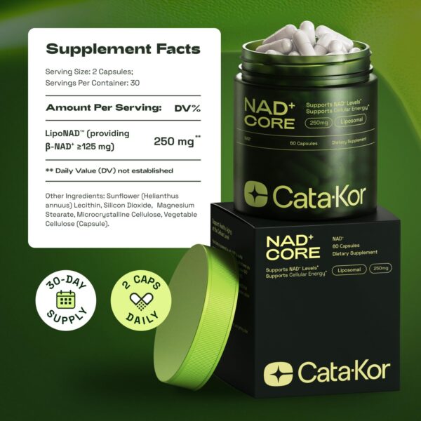 NMNH Supplement Alternative - Liposomal NAD CORE 250mg - 60-Day Supply - Pack of 2 - High Purity NAD Supplement for Healthy Aging, Energy - 60 Capsules - Image 4
