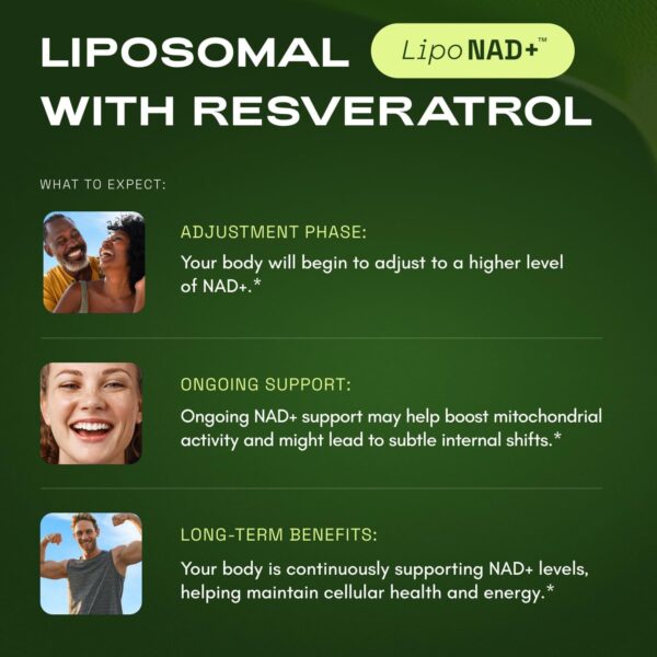 NMNH Supplement Alternative – Liposomal NAD + Resveratrol – 30-Day Supply – High Purity NAD Supplement for Energy & Healthy Aging – 60 Capsules - Image 7