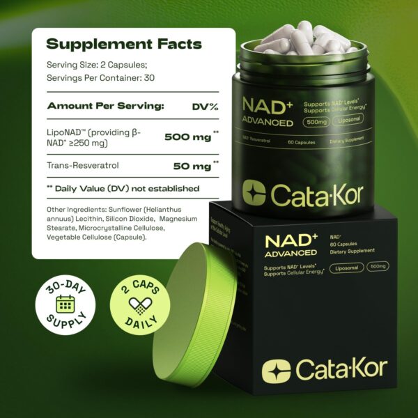 NMNH Supplement Alternative – Liposomal NAD + Resveratrol – 30-Day Supply – High Purity NAD Supplement for Energy & Healthy Aging – 60 Capsules - Image 5