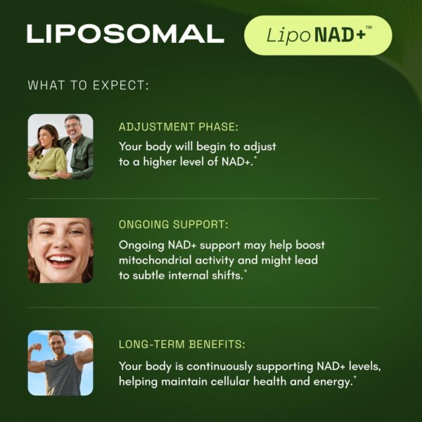 NMNH Supplement Alternative - Liposomal NAD CORE 250mg - 60-Day Supply - Pack of 2 - High Purity NAD Supplement for Healthy Aging, Energy - 60 Capsules - Image 7