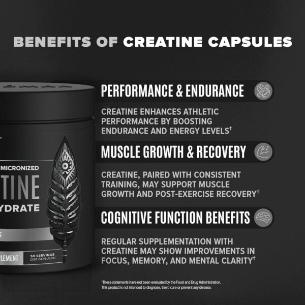 Micronized Creatine Monohydrate Capsules for Muscle Growth & Recovery, Pre & Post Workout, Vegan Creatine, Caffeine Free, Gluten Free, Sugar Free | 50 Servings | 250 Capsules - Image 13