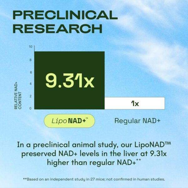 NMNH Supplement Alternative – Liposomal NAD + Resveratrol – 30-Day Supply – High Purity NAD Supplement for Energy & Healthy Aging – 60 Capsules - Image 3