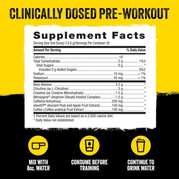 Beyond Raw LIT Pre-Workout - Blue Raspberry (30 Servings) - Image 35