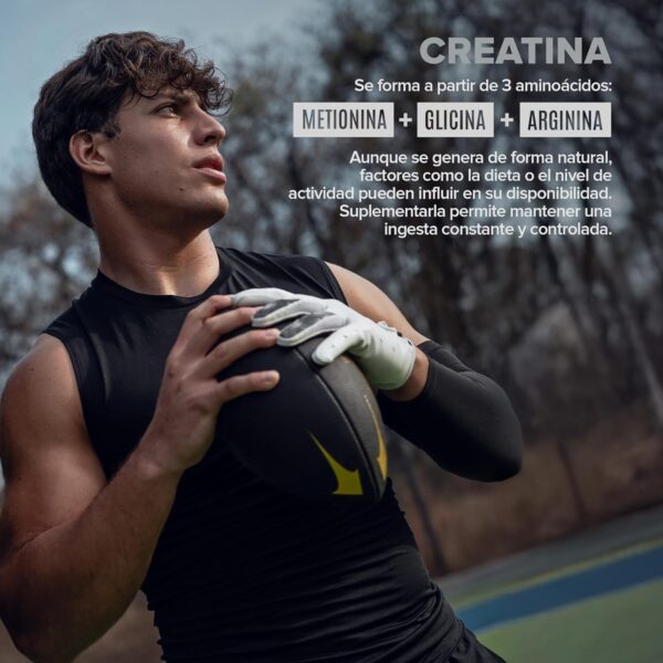 Micronized Creatine Monohydrate Capsules for Muscle Growth & Recovery, Pre & Post Workout, Vegan Creatine, Caffeine Free, Gluten Free, Sugar Free | 50 Servings | 250 Capsules - Image 22