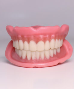 Easy Denture Set